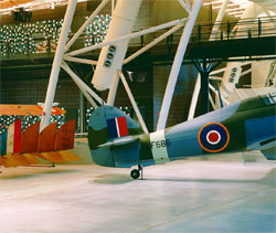 Custom Goes to Infinity and Beyond